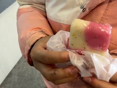 -鸡鸣汤包(红山动物园店)