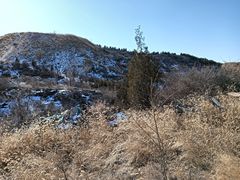 -五龙城郊森林公园