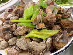 -陶然饺子城(奥体中路店)