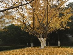 -昆山城市公园