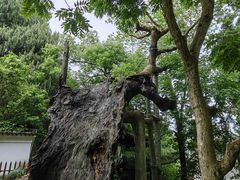 -台州府城(江南长城)