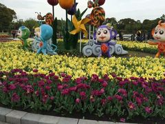 -上海鲜花港