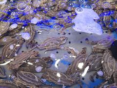 -澜悦港海鲜体验主题餐厅