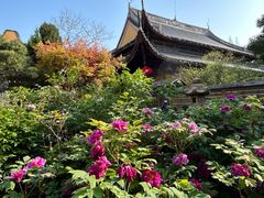 -龙华寺