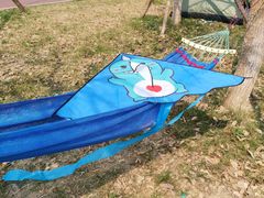 -白鹭湾湿地公园