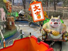 -大望京公园