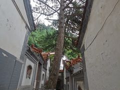 -圣莲山风景区