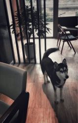 -茶发Salon·烫发染发理发