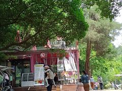 -鸡鸣汤包(红山动物园店)