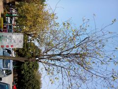android_upload_pic-福建师范大学(仓山校区)
