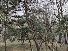 -玲珑塔公园