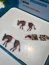 -北京科学中心儿童乐园