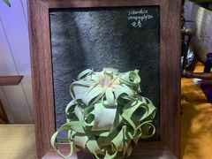 -Rabbit Cafe私房西餐甜点咖啡(栖霞路店)