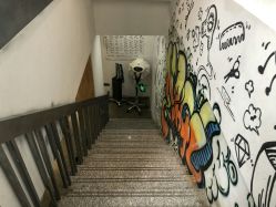 -MAGIC米几发型设计·羊毛卷