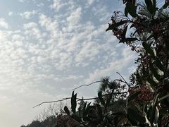 -临平公园(临平街道)