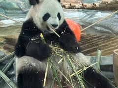 -泉州海丝野生动物世界