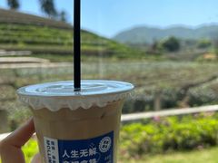 -龙坞茶村