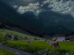 -上海市松江区泗泾医院