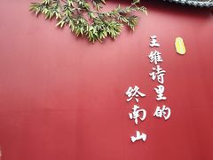 -终南山国家森林公园