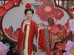 -曹州牡丹园