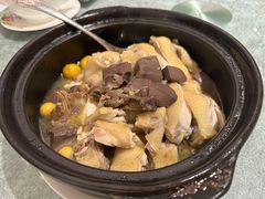 清炖鸡-花城苑广府菜(侨鑫店)