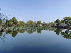 -无锡蠡湖国家湿地公园-蠡园