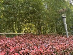 -南翔镇银翔湖公园