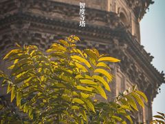 -辽代双塔