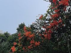 -云溪植物园
