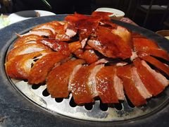 -守柴炉烤鸭(科华中路王府井店)