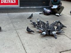 -66号公路起点牌