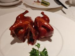 -悦海堂(金融街购物中心店)