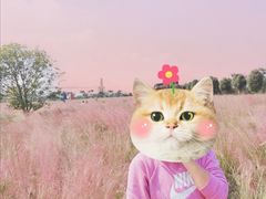 -花博汇(知音花月夜)