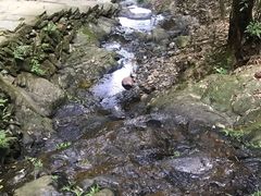 -常德桃花源景区