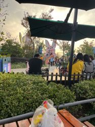 -季高兔窝窝亲子园(上海薰衣草公园店)