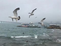 -星海广场