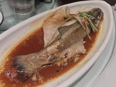 -燕郊烧鸽子(酷车小镇店)