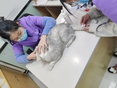 -中农大我爱我爱动物医院·核磁CT·猫病·24小时夜诊中心(石佛营店)