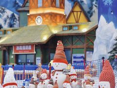 -长沙湘江欢乐雪域