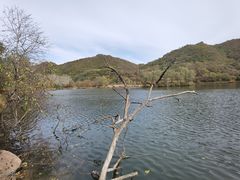 -玉渡山自然风景区