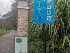 -广州市帽峰山景区