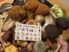 -菌山里·野生菌猪肚包鸡(阳光花园店)