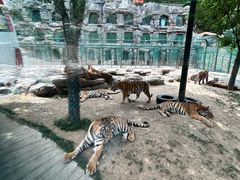 -栾川竹海野生动物园