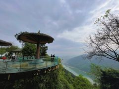 -铁山坪森林公园