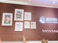 -藏猫猫咖啡主题馆(中央大道店)