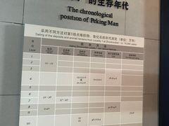 -北京周口店北京人遗址博物馆