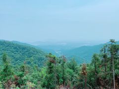 -素山寺森林公园