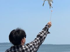 -悦海公园