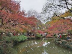 -秋霞圃