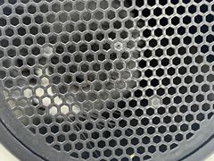 -瑞派动物医院·猫专科·至诚(江南中分院)